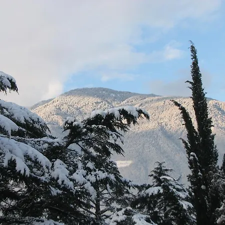 Atlantic Apartman Merano