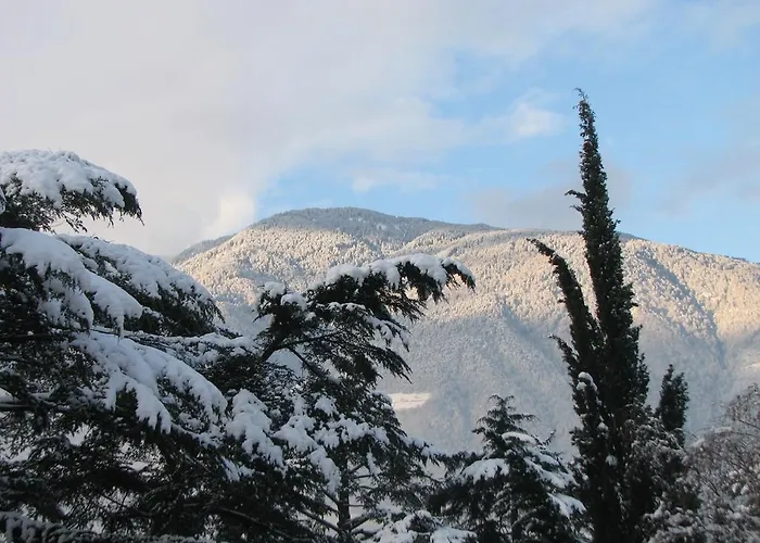 Atlantic Apartment Merano